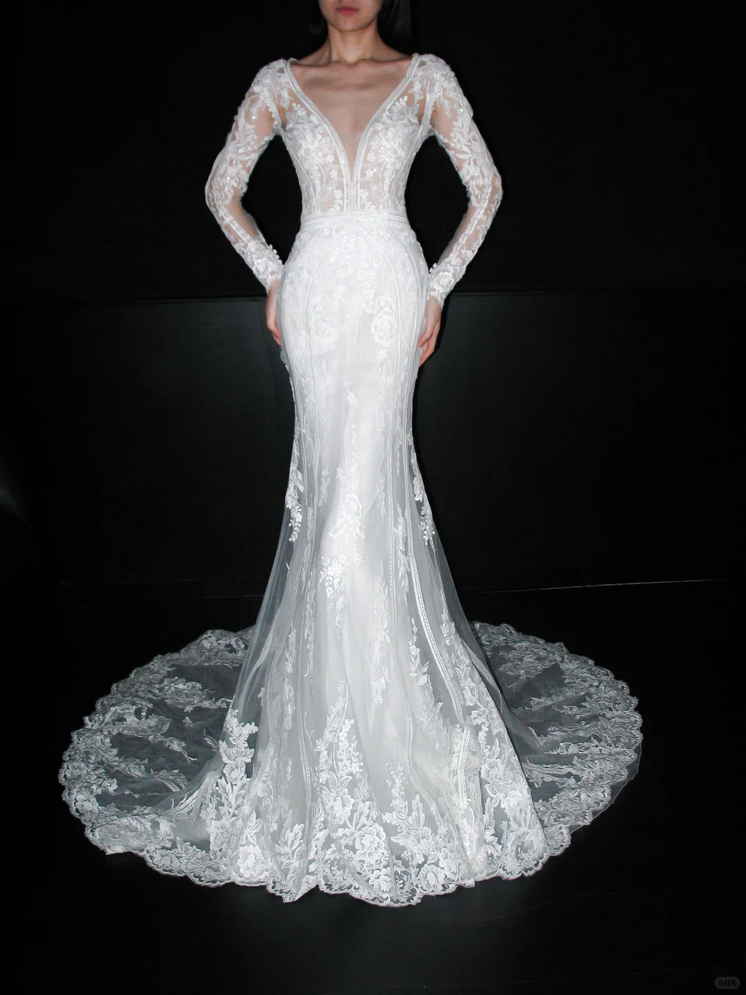 Elegant Mermaid Long Sleeve V Neck Lace Tulle Long Train Wedding Dress DP6366