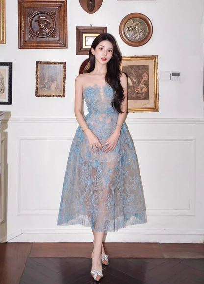 Gentle Blue A Line Strapless Lace Prom Dress Party Dress Date Dress DP4459