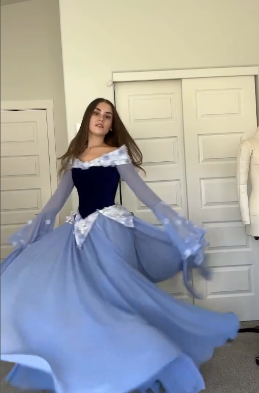 Stunning A Line Long Sleeve Purple Appliques Velvet Chiffon Prom Dress DP4431