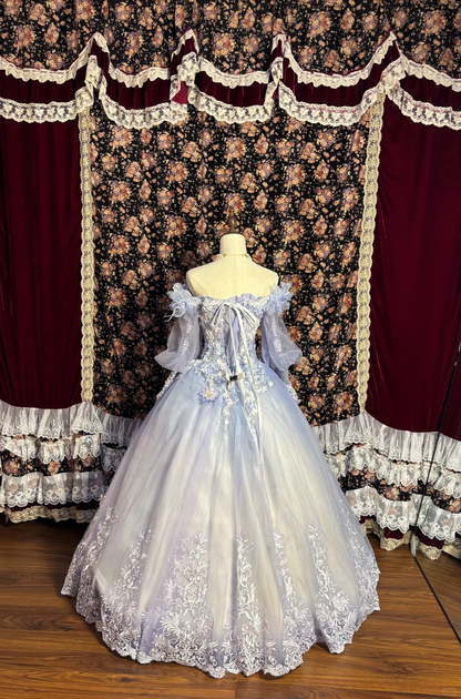 Vintage Lilac Ombre Ball Gown Long Sleeve Appliques Tulle Prom Dress Sweet 16 Dress DP5659