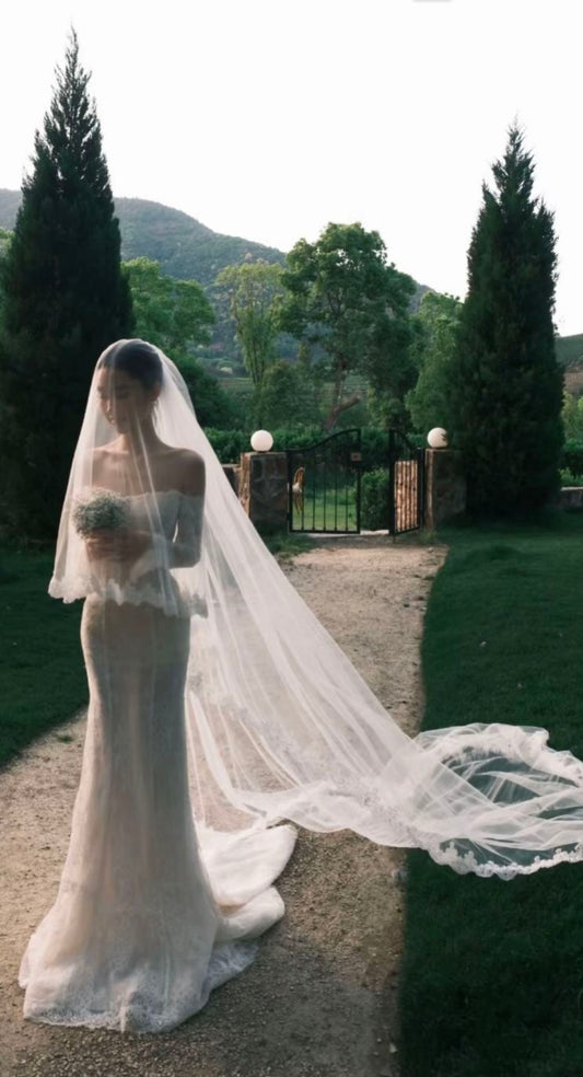 High-class Mermaid Long Sleeve White Lace Long Train Wedding Dress DP6851