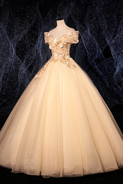 Champagne Lace Appliques Tulle Long Prom Dress Evening Dress DP937
