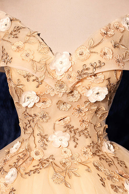 Champagne Lace Appliques Tulle Long Prom Dress Evening Dress DP937